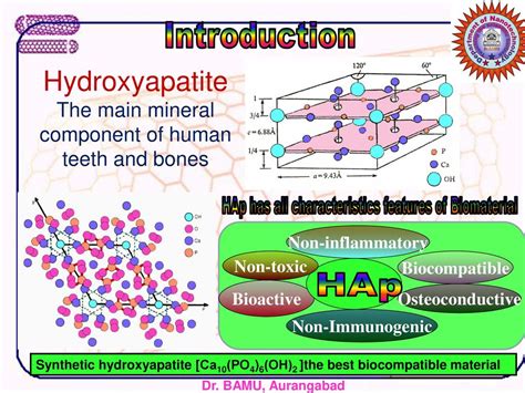  Hydroxyapatite Nanomaterialer: En Revolutionär Komponenet för Reparation av Ben och Tandめていた!